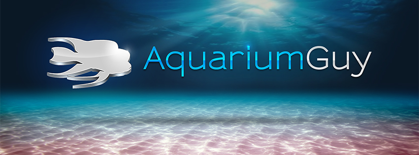 Aquarium-Guy-Facebook-Cover-Photo1.jpg